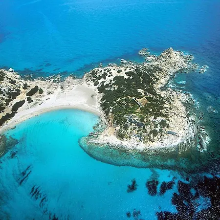 Sardinian-style Near *